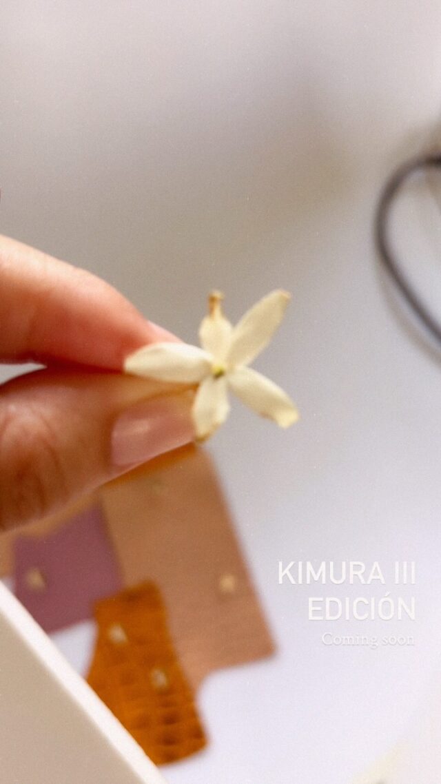Coming soon: Kimura III Edición🧡

Una pieza que regresa con una identidad más JG que nunca. 

#jazmingonzalezperu 
#peruviandesign 
#hechoamano 
#lujoartesanal 
#diseñodeautor